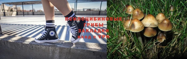 прущая мука Переславль-Залесский